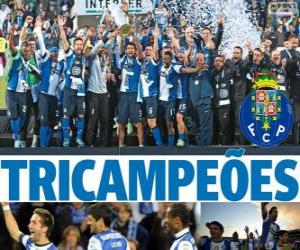yapboz Porto, Portekiz Futbol Ligi 2012-2013 şampiyonu, ulusal Birinci Ligi